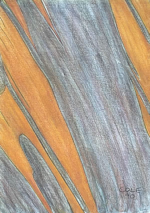 Sunset On Grass by Tim Cole